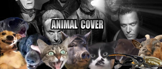 Rammstein - Sonne (Animal cover)