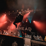 Zebrahead live Vídeň 2020