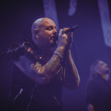 Soilwork (live 2024)