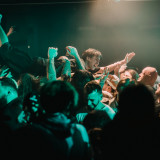 Alpha Wolf (live 2025)