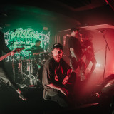 Alpha Wolf (live 2025)