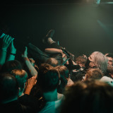 Alpha Wolf (live 2025)