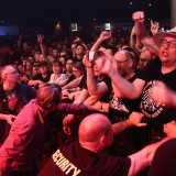 Die Toten Hosen