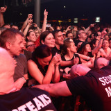 Die Toten Hosen
