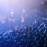 Die Toten Hosen