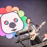 The Wombats