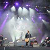 Social Distortion